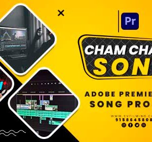 03(02) Viral Wedding Mixing Hindi Song Template for PR Edit