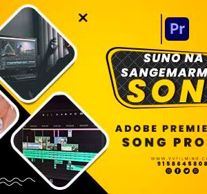 04(02) Wedding Video Hindi Song Template for PR New Style