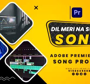 08(02) Best Hindi Wedding Song Template for PR Editing