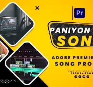 12(02) Wedding Edit New Hindi Song Template PR Project