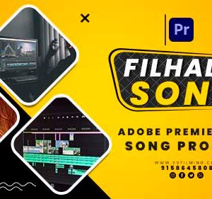 17(02) New PR Wedding Mixing Template Hindi Song 2026