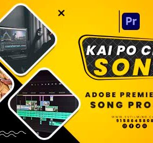 18(02) Wedding Intro Hindi Song Template for PR Project