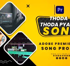 35(02) Latest PR Wedding Video Hindi Song Template 2026