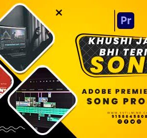 39(02) Wedding Video Editing PR Template Hindi Collection